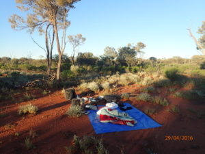 First tentless camp in scrub; turned out to be 500 m from the Cosmo Newberry township sewerage ponds!