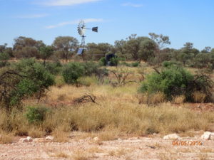 Functioning bore with windmill and solar assisted pump at the junction of the Kurrkarturtu Road and  Great Central Road on top of the range about 25 km east of Warburton