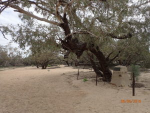 Burke's grave - the aborigines left his dead body, with pistol, in position for months before the rescue party came to get him