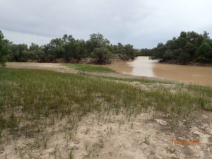 The Farrar Creek crossing 30 km from Mt Leonard homestead. A lovely spot for a weekend camping and fishing.