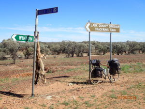 Dogs, including dingoes, and sheep do not mix! There is a certain brutal honesty in the relations between humans, stock and wildlife in the pastoral areas
