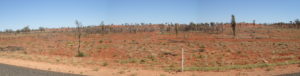 Heavily grazed country between Yulara and Curtin Springs station. This is after a prolonged drought.