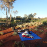 Day 17 28 April 2016 Laverton to Cosmo Newberry 80 km