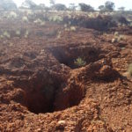 Day 19 30 April Hoffman Range to Tjukayirla roadhouse 75 km