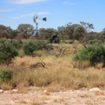 Day 23 4 May Warburton halfway to Warakuna 100 km