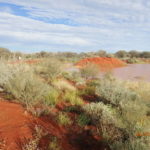 Day 27 8 May The Flood 60 km