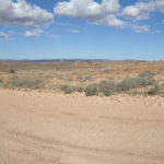 Day 51 1 June Lyndhurst hotel to Mooroobeenee (?) 100 km