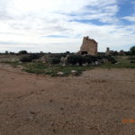 Day 52 2 June on the Strezlecki Track 94 km