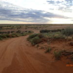 Day 59 9 June Arrabury Station to Haddon Corner 86 km