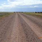 Day 62 12 June Diamantina Development Road to Davenport Downs 115 km