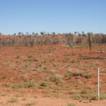 Day 32 13 May Yulara to Curtin Springs 82 km