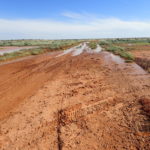 Day 39 20 May Mt Dare to Dalhousie Springs 45 km