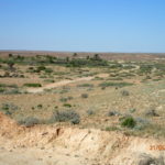 Day 40 21 May Dalhousie Springs to Pedirka Siding 75 km