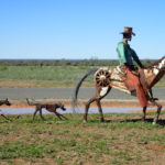 Day 75 25 June Aramac and Lake Galilee