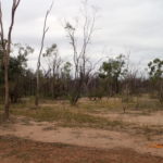 Day 77 27 June Yarrowmere to the Gregory Highway