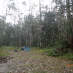 Day 83 3 July 'Go somewhere else!!'