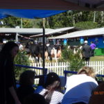 Day 89 9 July Milla Milla to Malanda Crater Lakes