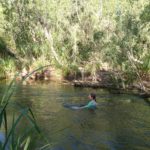 DAY 21 8 JULY TO GREGORY RIVER ON BITUMEN