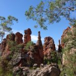 DAY 38 25 JULY SOUTHERN LOST CITY TO BUTTERFLY SPRINGS