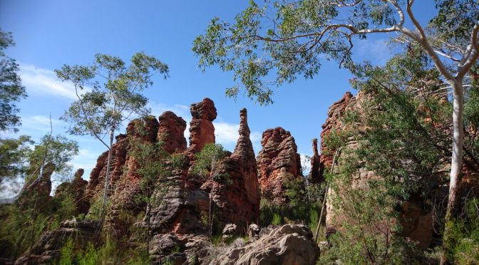 DAY 38 25 JULY SOUTHERN LOST CITY TO BUTTERFLY SPRINGS
