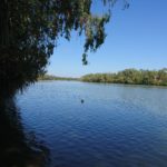 DAY 40 27 JULY COX RIVER TO TOWNS RIVER WITH MANDARINS