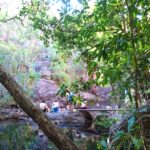DAY 50 6 AUGUST PINE CREEK TO MOLINE WATERHOLE IN KAKADU NATIONAL PARK