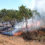 DAY 52 8 AUGUST MAJUK FALLS TO COOINDA KAKADU RESORT
