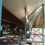 DAY 54 10 AUGUST JABIRU MORE ABORIGINAL LORE