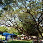 DAY 57 13 AUGUST BATCHELOR