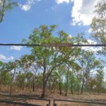 DAY 61 17 AUGUST BATCHELOR AGAIN