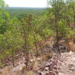 DAY 62 18 AUGUST WANGI FALLS