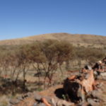 DAY 6 22 JULY 2018 TOM PRICE to Karijini eco retreat