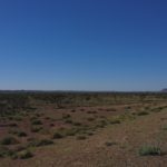 DAY 2 18 JULY 2018  Homestead Creek to Cheela Station