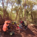 Day 13 29 July from Hamersley Ranges to near Millstream NP