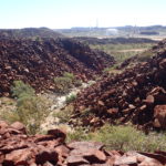 Day 18 3 August Burrup rock art to dampier Red dog