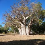 Day 2 Parry Creek Farm to Wyndham 53 km