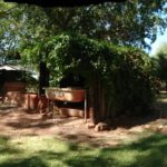 Day 6 Ellenbrae Station rest and wait