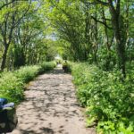 LEJOG DAY 2 St Ives to Newquay, 66 km, 971 m climbing