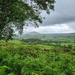 LEJOG DAY 18 Thirlmere to Wetherall. 63 km, 454m.