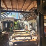 Day 48 Tanami Tootle Broome recovery 0km