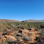 Day 18 Alice Springs and preparations for the Tanami, Christine says 'farewell'because of bike wheel fail