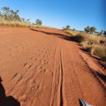 DAY 34 Tanami Tootle Wolffe Creek Crater 50km