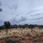 Day 3 Tanami Tootle Kulta Juru (The Olgas) dawn