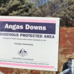 Day 6? Tanami Tootle, nearly to Kings Creek Station campground, 60 km?