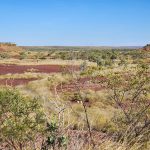 Day 40 Tanami Tootle 114km