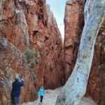 Day 16 Standley Chasm 59 km