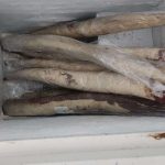 Day 21 Tanami Tootle  Tilmouth Well roadhouse 23 km