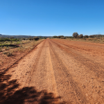 Day 11 Tanami Tootle 60 km