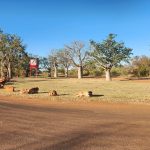 Day 45 Tanami Tootle Willare Roadhouse 50km