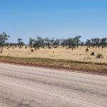 Day 46 Tanami Tootle 105km from Willare Roadhouse